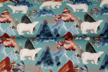 Lade das Bild in den Galerie-Viewer, Stenzo - Eisbär Motiv French Terry in blau/ bunt