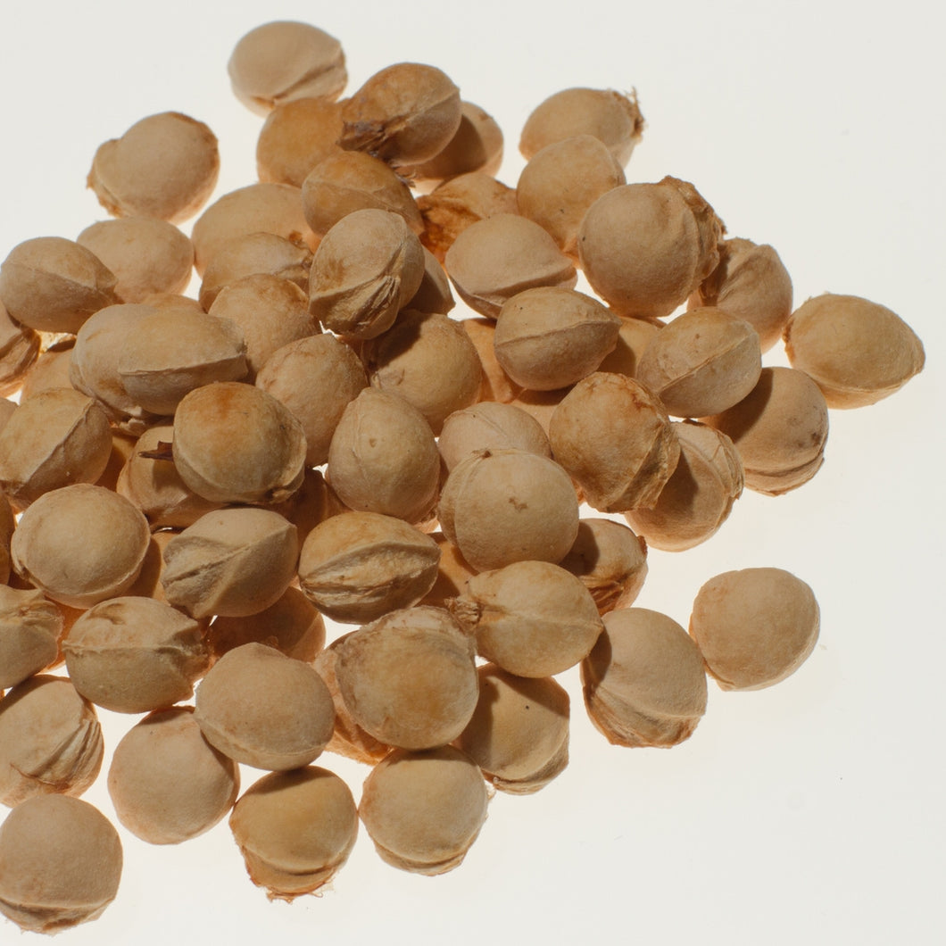 Kirschkerne 1000g