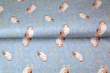 Lade das Bild in den Galerie-Viewer, Stenzo - Waldtiere Motiv Jersey in hellblau/bunt
